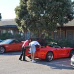 Cambria_0453 (November 01, 2013)